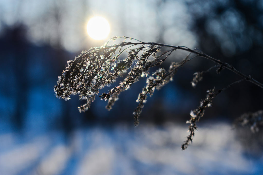 5. Het begin van Nieuw Realisme