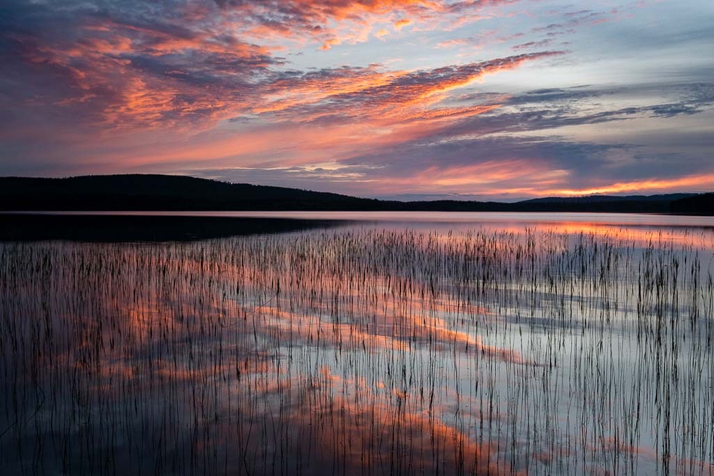 3. Nieuw Realisme ontstond