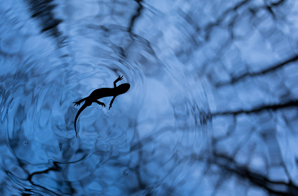 14. Waarheden die er Altijd Waren