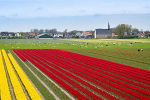 15. Slot van ..... De achterdeur van de Filosofische kant