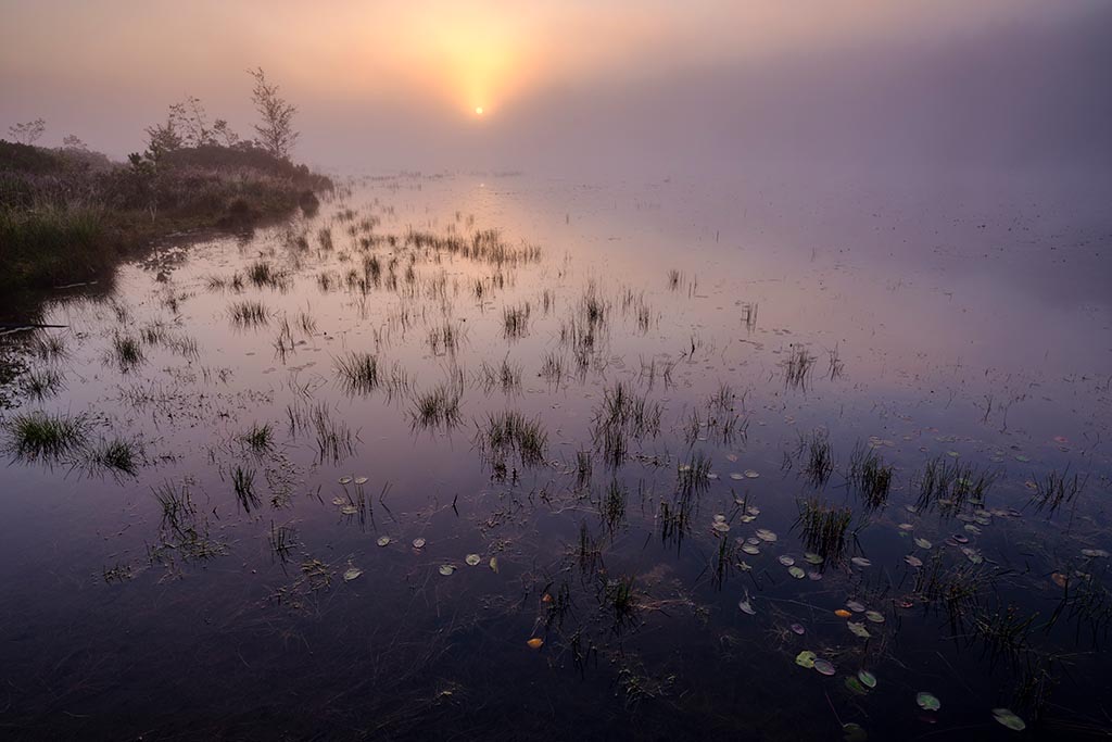 13. Identiteit Waarheid en het ........ Misverstand van Racisme