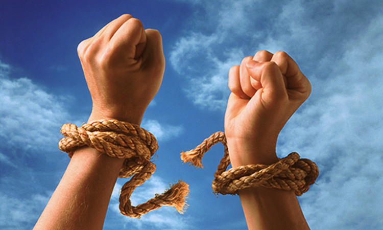 Click hier om verder te gaan het overzicht