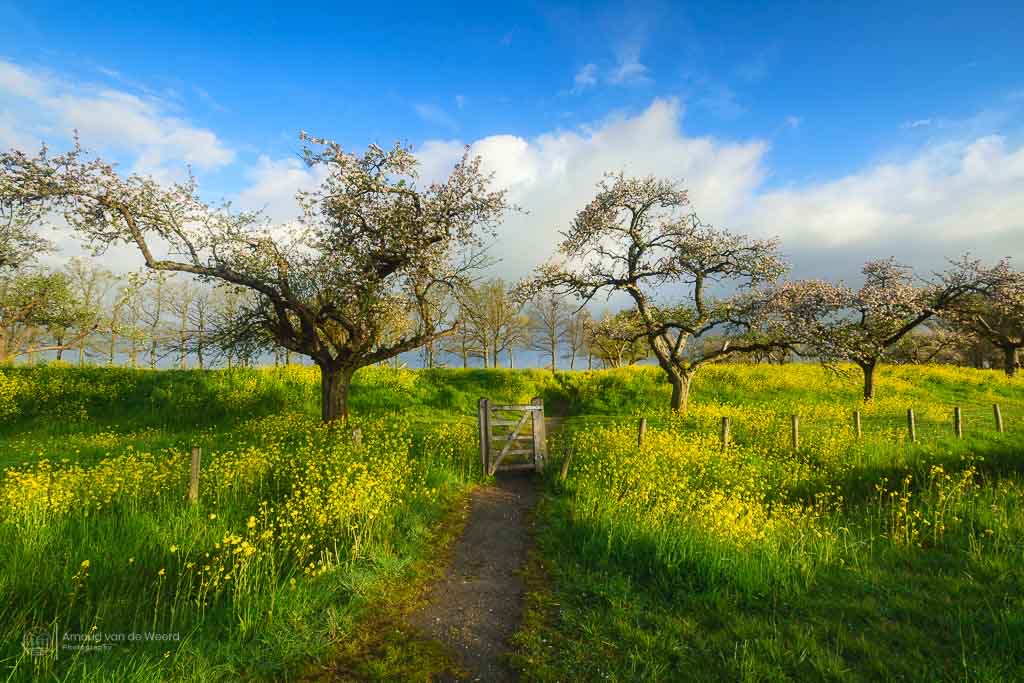 click om door te gaan