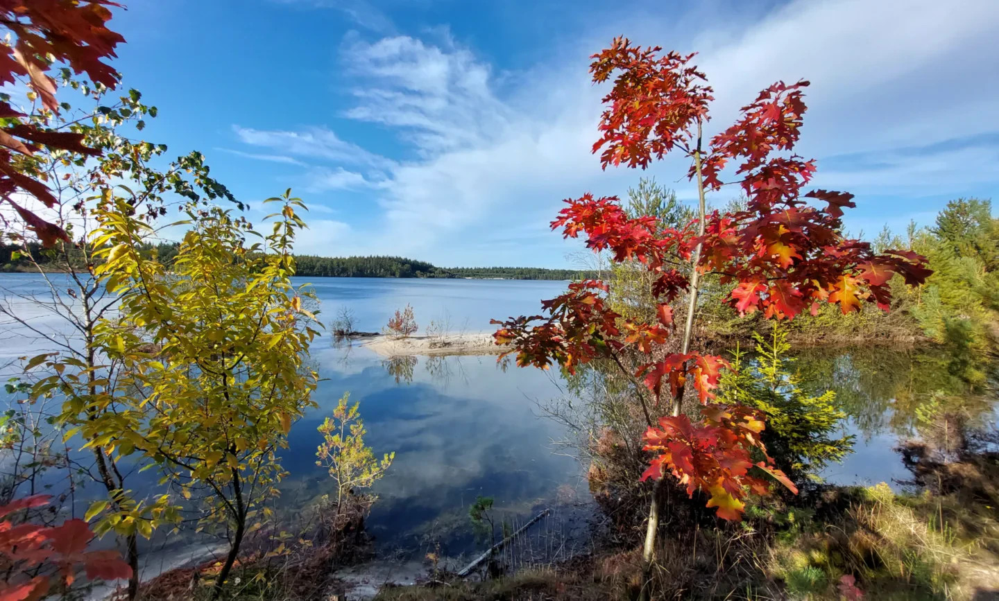 Click hier om verder te gaan het overzicht